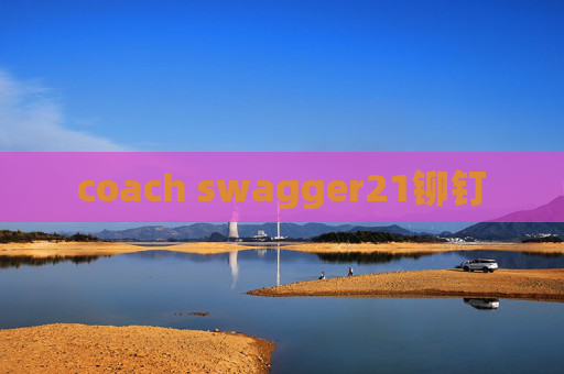 coach swagger21铆钉